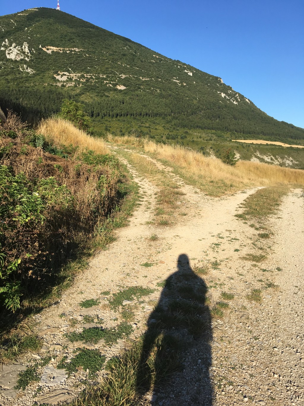 rattrapage en accéléré d'un cours de bio de sec III